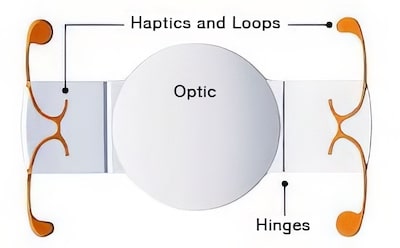 diagram1 e1620317497614Edit